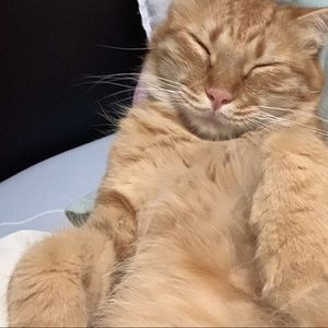 Meet your Posher, Min